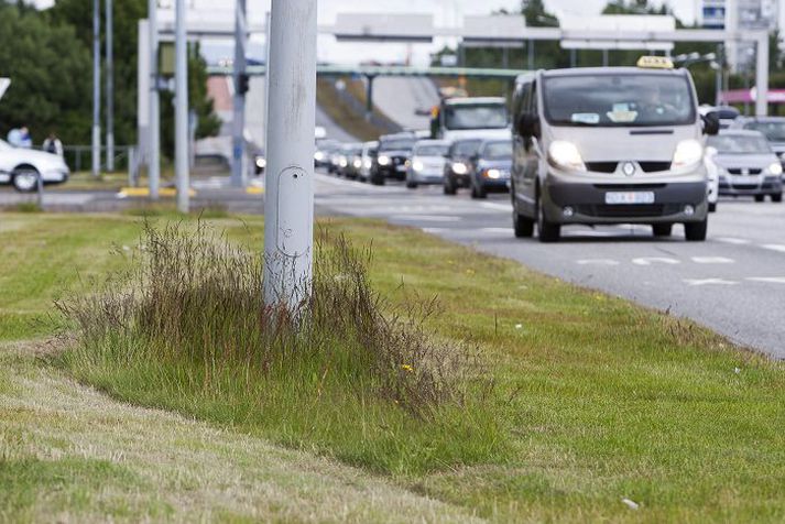 Víða sjást loðnar graseyjar í Reykjavík, meðal annars við ljósastaura. Fréttablaðið/HAG