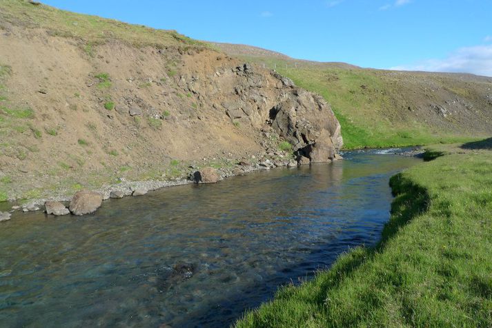 Forvitnilegt verður að fá fréttir af veiðinni í Miðá í Steingrímsfirði í sumar.