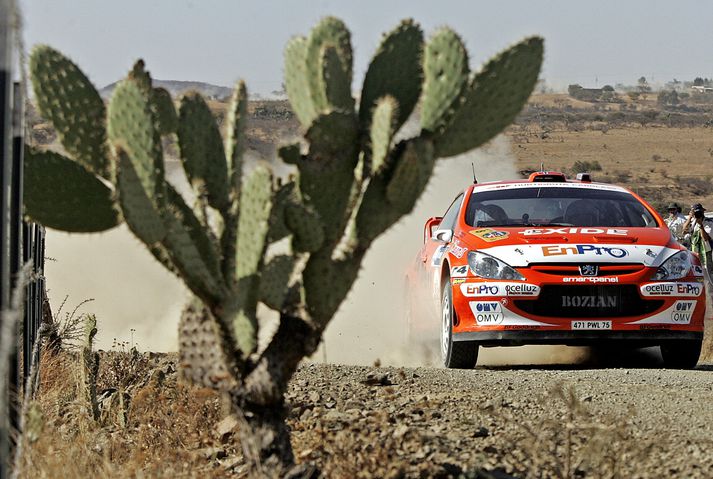 Norðmaðurinn Henning Solberg í rallýakstri á Peugeot 307 í mars á þessu ári.