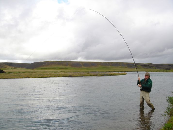 Lax dreginn á land í Eystri Rangá.