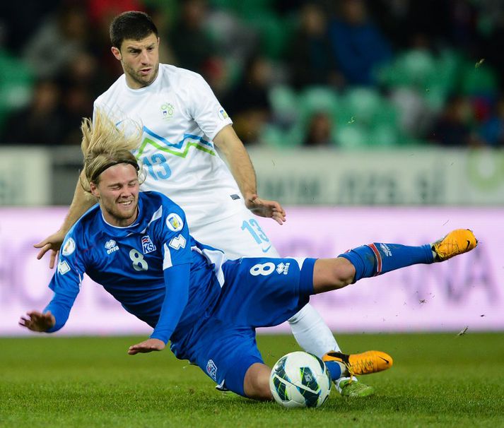 Birkir Bjarnason og félagar eru að gera góða hluti í undankeppni EM 2014.