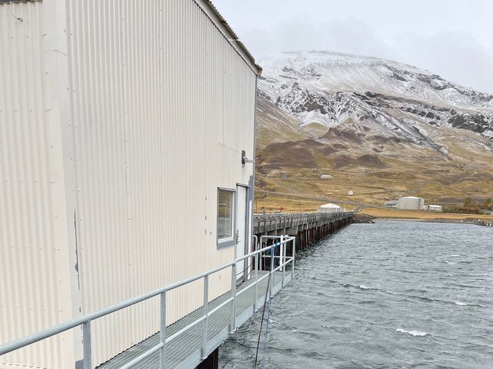 Stjórnstöð tilraunar Rastar verður á innflutningsbryggju Olíudreifingar í Hvalfirði. Rannsóknin á að fara fram í sumar fáist til þess leyfi.