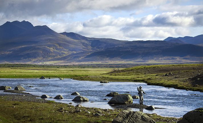 Langidráttur í Hítará