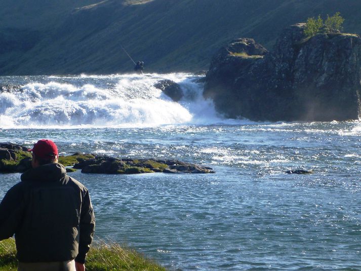 Vaðið yfir Laxfoss í Norðurá.