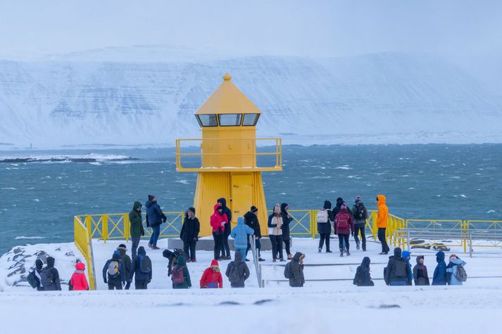 Vont veður vetur í Reykjavík