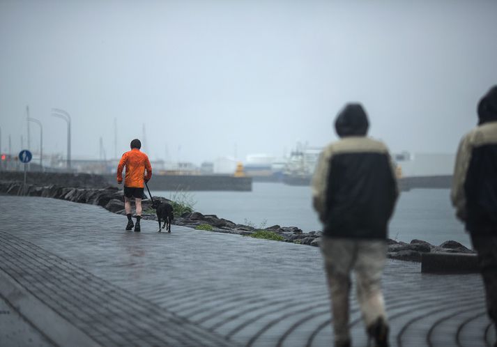 Það má búast við skúrum fram yfir helgi víða um land.