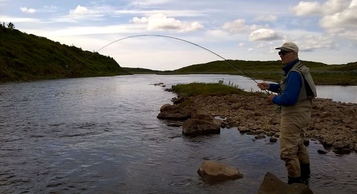 Veiðimaður þreytir lax við Tannalækjarbreiðu í Langá