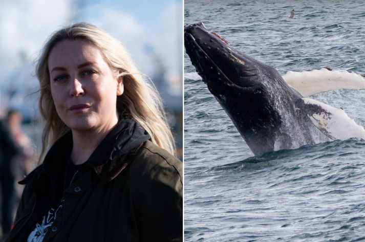 Valgerður Árnadóttir, talskona Hvalavina er ósátt við vendingar dagsins.