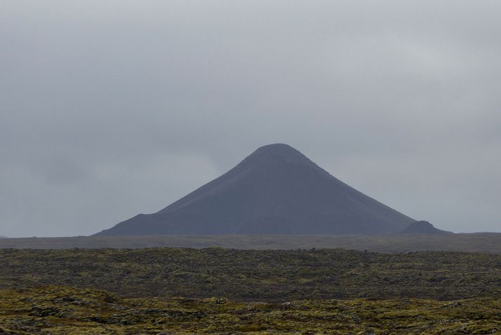 Skjálftavirknin hefur verið mikil á Reykjanesi undanfarna daga.