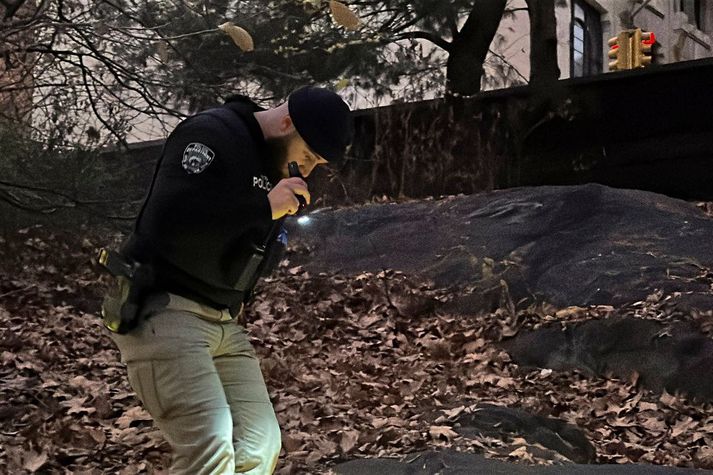 Lögreglan í New York hefur gert dauðaleit í Central Park eftir einhvers konar vísbendingum eða sönnunargögnum.