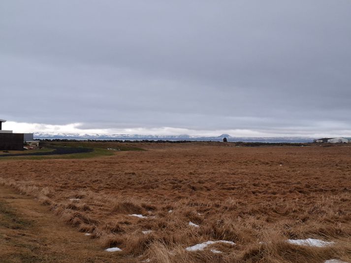 Byggja á allt að 16 hús við Gauksstaði. Freyr segir að það muni skerða útsýni margra íbúa.