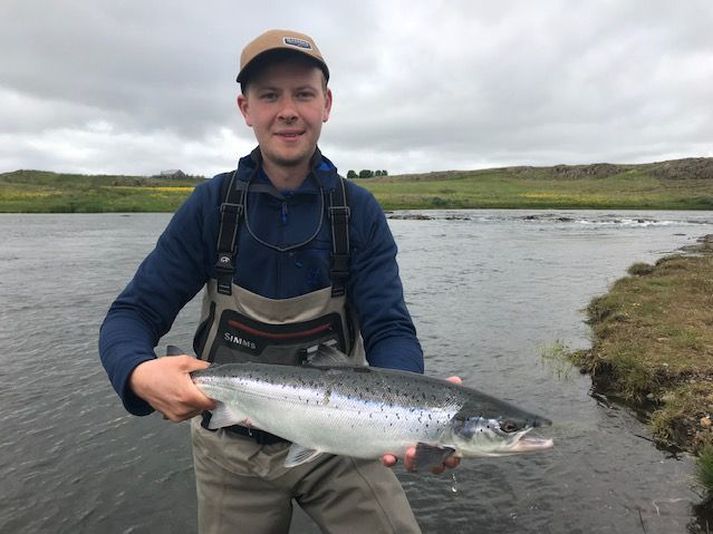 Fallegur nýgengin lax úr Langá sem veiddist í Dyrfljóti í fyrrasumar