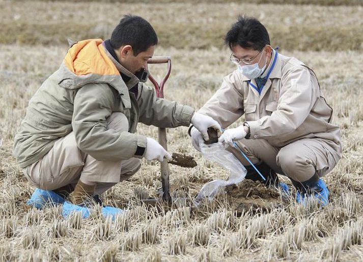 Geislavirkni könnuð Starfsmenn Fukushima-sýslu taka sýni í grennd við kjarnorkuverið.fréttablaðið/AP