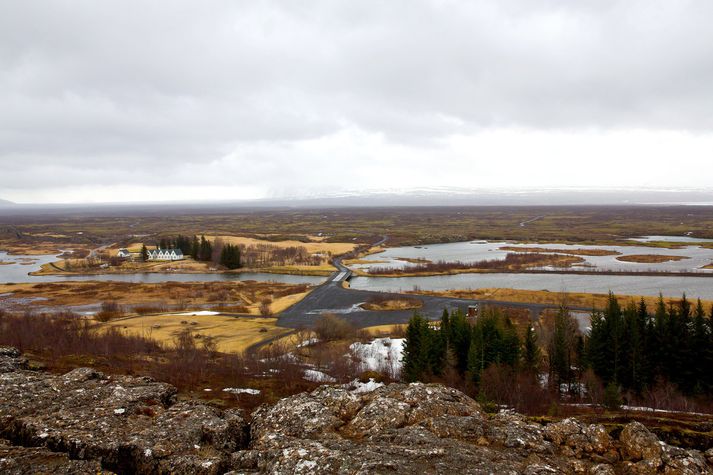 Greni er ekki íslensk planta og skemmir útsýnið segir Þingvallanefnd sem ætlar að uppræta allan lundinn sem hér sést að hluta og umlykur gamlan sumarbústað.