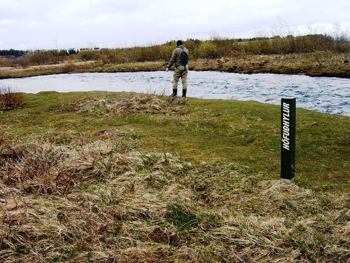 Höfuðhylur geymir jafnt lax, urriða og sjóbirting þessa dagana.