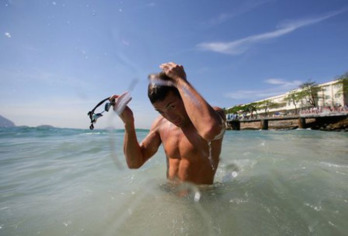 Fran Crippen.