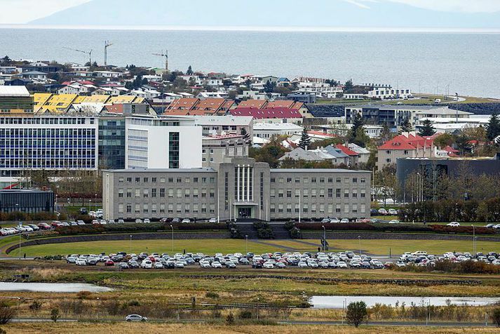 Flestir Íslendingar sækja háskólanám við Háskóla Íslands en þar á eftir kemur Háskólinn í Reykjavík.