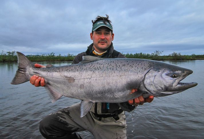 King Salmon er með stærstu laxategundum sem eru til