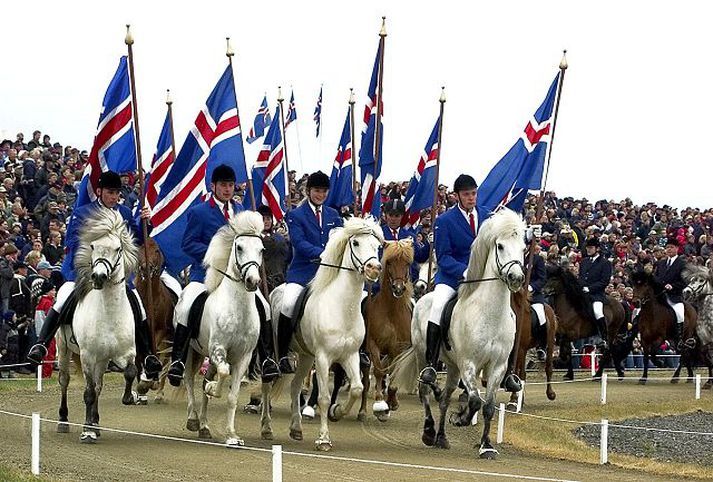Landsmót Vindheimamelar Skagafjörður 2003 hestar fákar