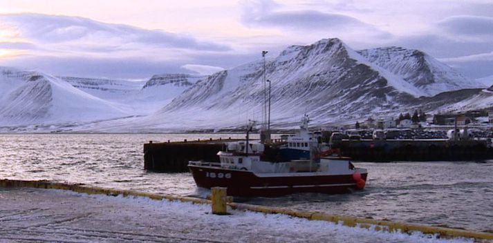 Séð inn Dýrafjörð frá Þingeyri en 20 möstur gáfu sig þar í óveðrinu.