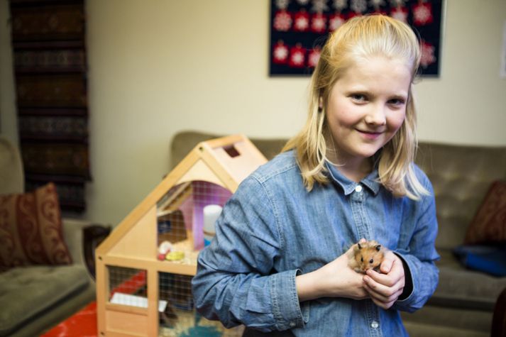 Úlfrún Kristínudóttir hefur átt loðhamsturinn Gutta í næstum því ár. Hún breytti gamla dúkkuhúsinu sínu í flott einbýlishús handa honum með sniðugum útfærslum.   mynd/ernir