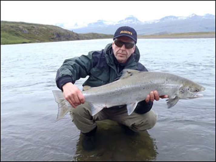 Einn vænn hjá Birni Guðmundssyni af Skammadalsbreiðu