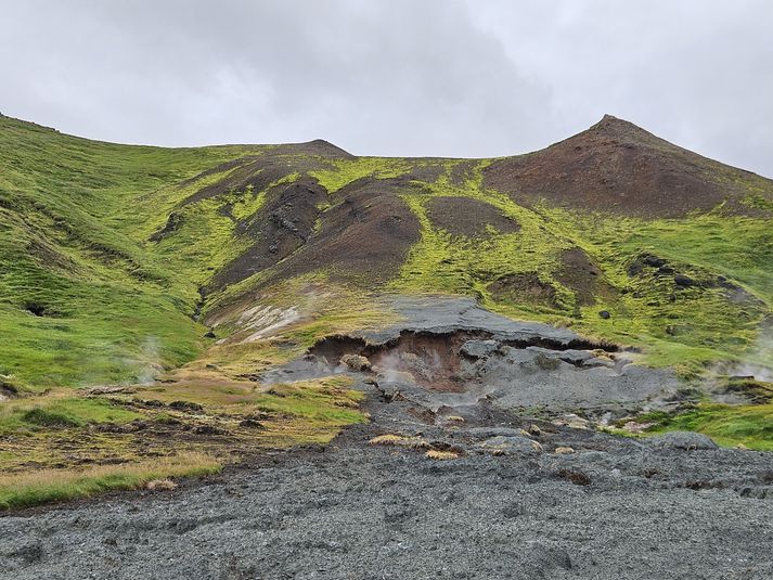 Um er að ræða hver skammt austan við norðurenda göngupallsins.