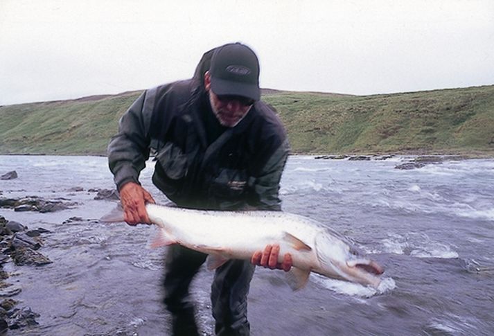 23 punda lax af Breiðunni í Blöndu