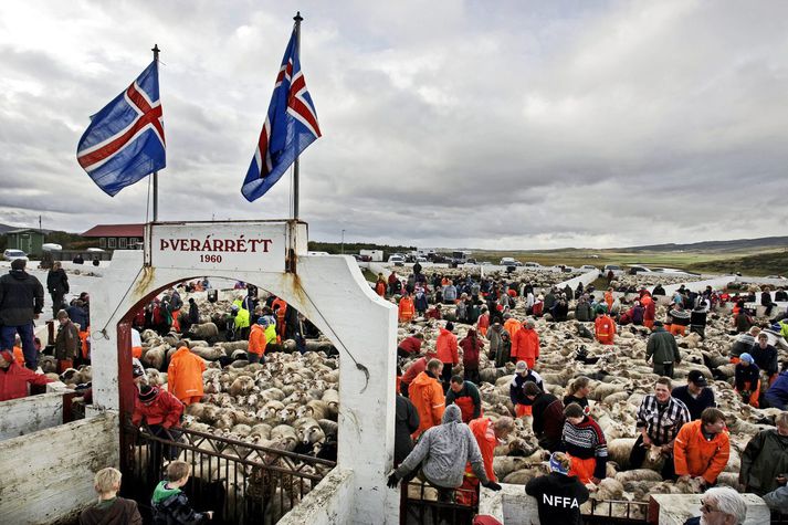 Fjallskilagjöld Borgarbyggðar renna meðal annars til viðhalds á Þverárrétt.