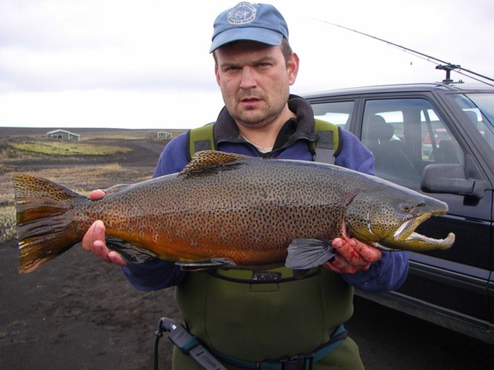 Ein mesta aflakló Veiðivatna, Jón Ingi Kristjánsson með flottann urriða úr vötnunum