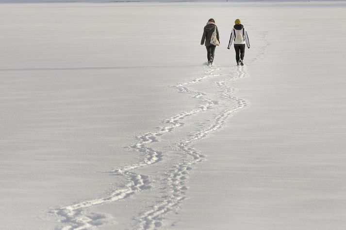 Þessir vegfarendur létu slag standa og röltu yfir ísilagða Tjörnina.