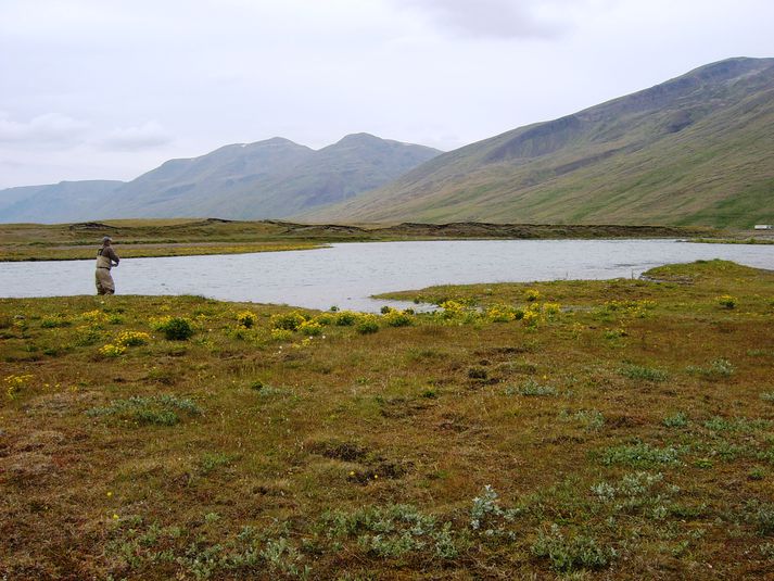 Bæjarhólar er neðsti veiðistaðurinn á svæði III í Blöndu. Þar er oft lax.