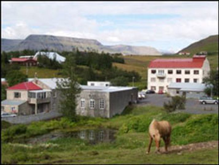 Varmársamtökin standa fyrir útimarkaði í Álafosskvos um helgina.