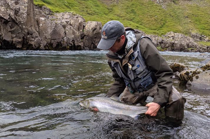 Veiðin í Hafralónsá hefur farið vel af stað