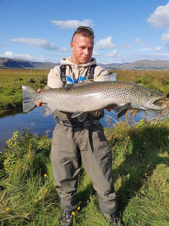 Ómar Smári með flottan sjóbirting úr Varmá