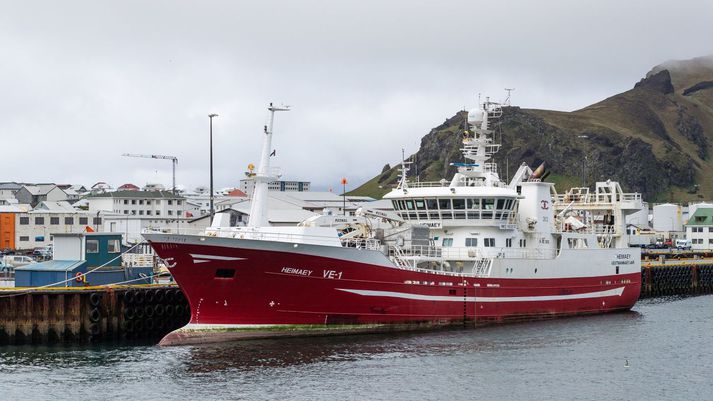 Heimaey VE-1, eitt af skipum Ísfélagsins, tekur þátt í loðnuleitinni. Vestmannaeyjar eru stærsti loðnubær landsins.