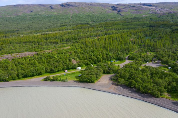 Hallormsstaðaskógur bindur umtalsvert kolefni. Íslenskir fræðimenn hafa undanfarið deilt um ágæti skógræktar sem kolefnisbindingar.