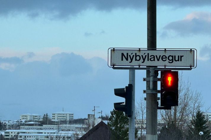 Atvik málsins urðu á heimili fjölskyldunnar á Nýbýlavegi í Kópavogi.