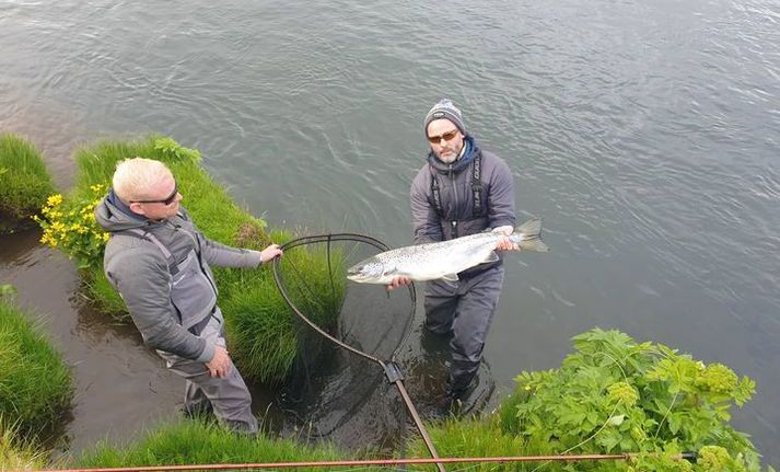 Alexander með fyrsta lax sumarsins úr Eystri Rangá