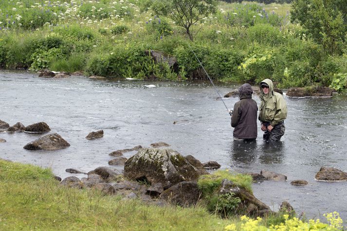 Í Elliðánum hafði veiðst 81 lax um miðja síðustu viku en 228 laxar veiddust á sama tíma í fyrra.