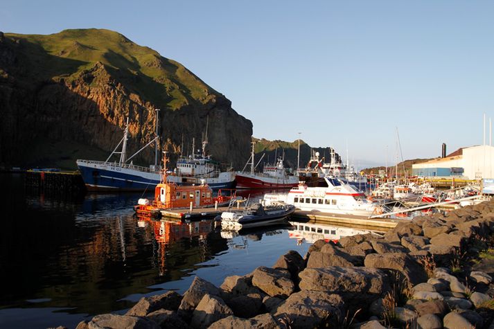 Maðurinn starfaði í bakaríinu í rúmt ár.