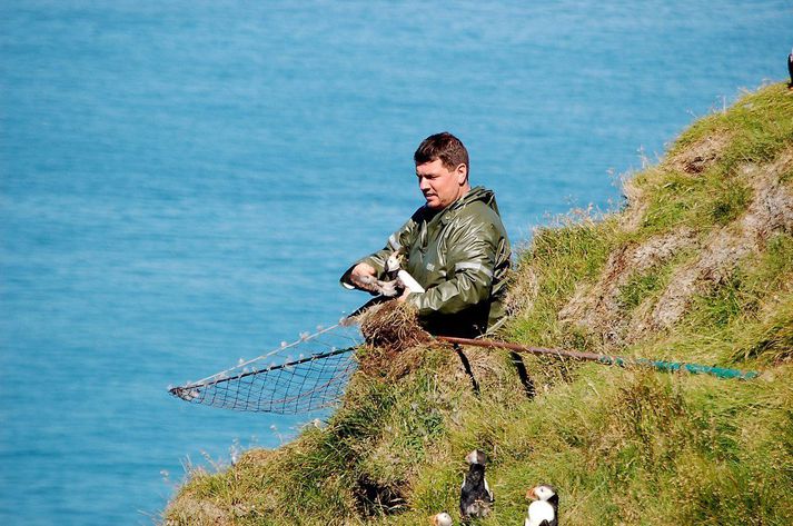 Georg Eiður Arnarson að háfa lunda, enda Eyjamaður.