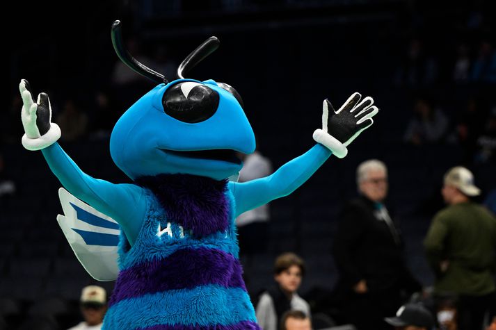 Hugo the Hornet er lukkudýr Charlotte Hornets.