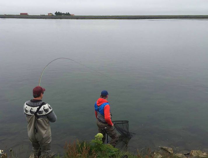 Lax þreyttur við Djúpós í Ytri Rangá