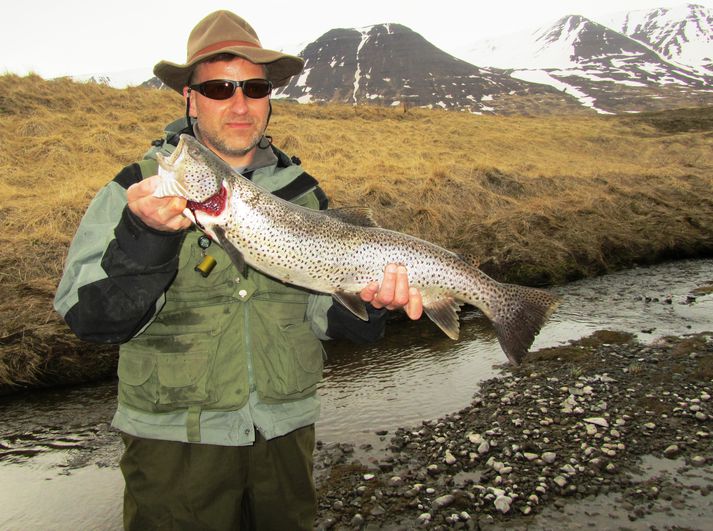 Þrjú kíló og sentímetrar mældist þessi sjóbritingur sem veiddist í Hörgá í síðustu viku.