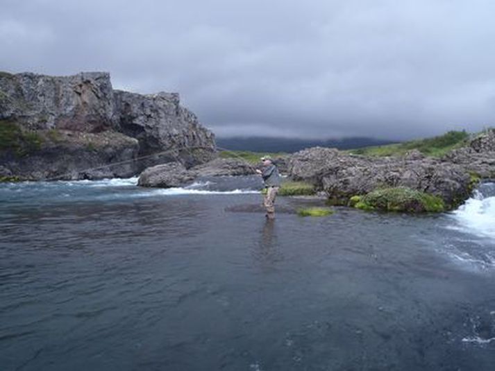 Þröstur Elliðason á veiðum. Hann býst við góðri veiði í Tungulæk í haust.