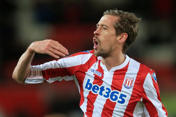 Peter Crouch fagnar marki með Stoke.