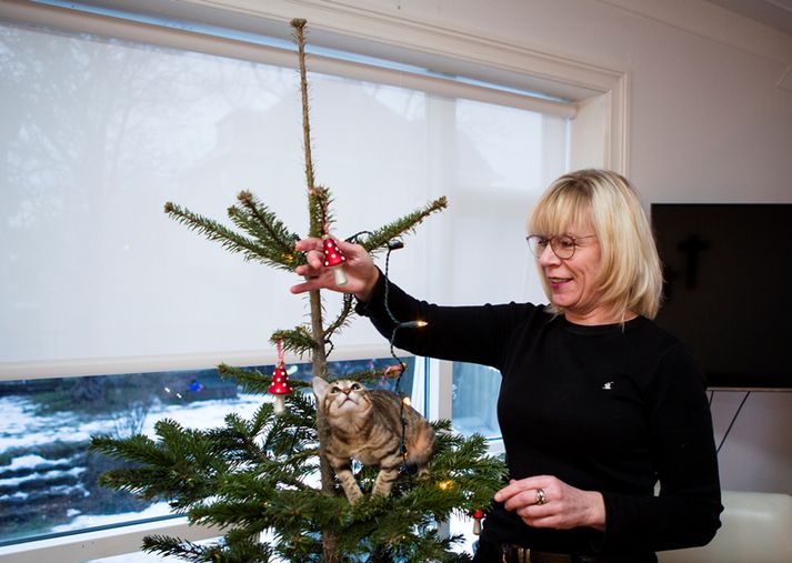 Vigdís Hauksdóttir sést hér ásamt kettinum Taco en ferfætlingurinn virðist vera að búa sig undir að stökkva á jólaskrautið sem Vigdís heldur á.