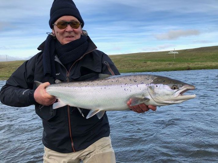 Flottur lax sem veiddist við opnun Miðfjarðarár á föstudaginn.