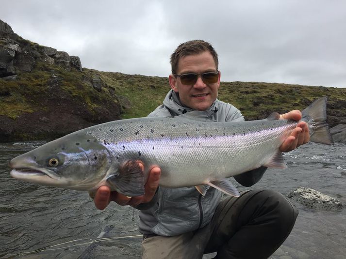 Það veiddust 73 laxar í Miðfjarðará í fyrradag.